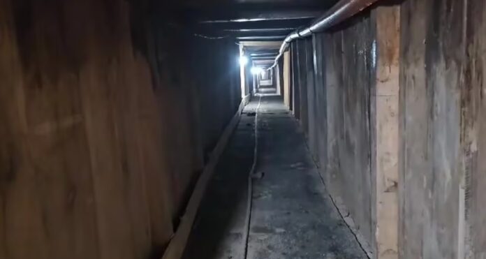 Sin título4