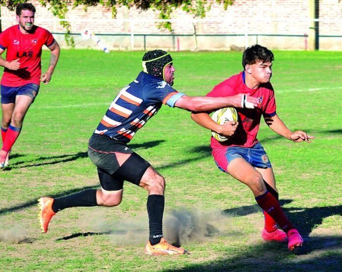 Imagen de WhatsApp 2024-10-25 a las 14.14.35_528eae8e