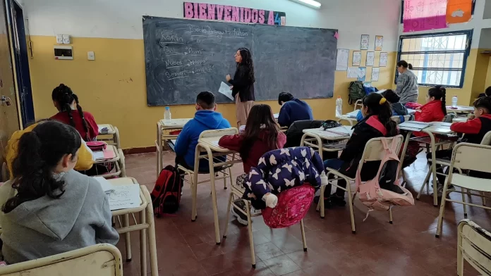 docentes